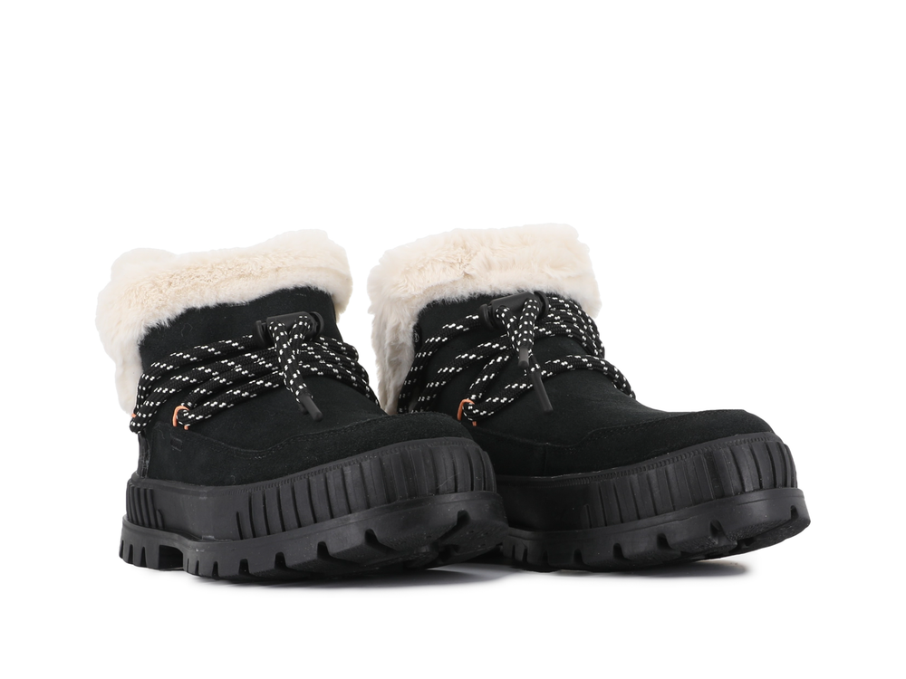PALLASHOCK LO HIVER