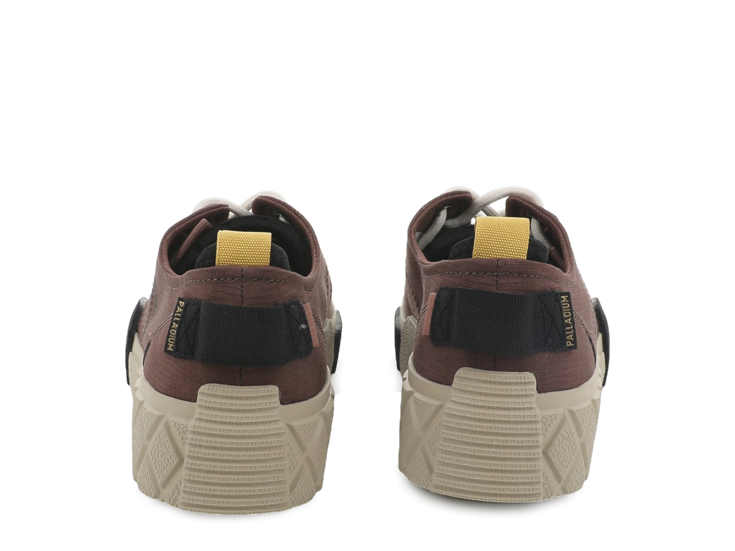 ACE CITY SHELL LO RACCOON - Palladium